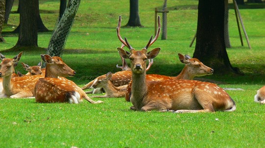 ebf23975941192c78ecc55a183b7c7f6 ebf23975941192c78ecc55a183b7c7f6