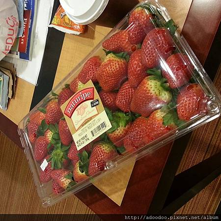 2013-02-10-03-23-40_photo