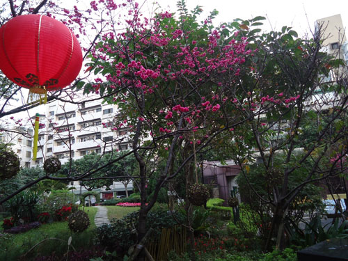 DSC05120a DSC05120a
