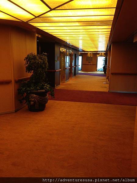 blog IMG_4519.jpg blog IMG_4519.jpg
