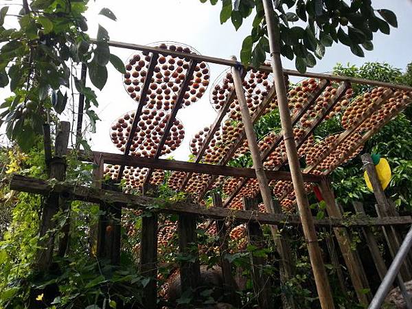 20130928_112219 (640x480).jpg 20130928_112219 (640x480).jpg