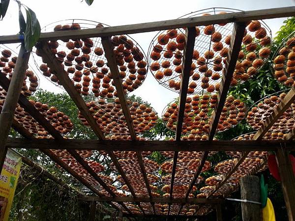 20130928_112226 (640x480).jpg 20130928_112226 (640x480).jpg