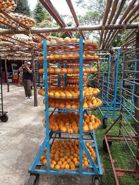 20130928_112238 (640x480).jpg 20130928_112238 (640x480).jpg