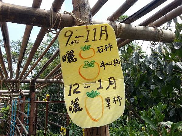 20130928_112234 (640x480).jpg 20130928_112234 (640x480).jpg