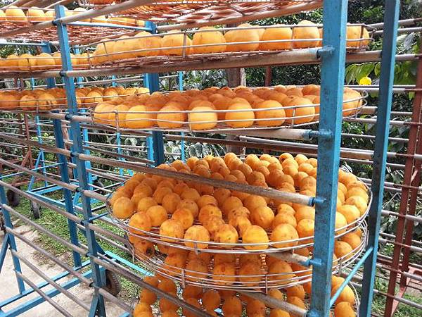 20130928_112256 (640x480).jpg 20130928_112256 (640x480).jpg