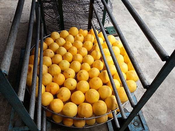 20130928_112441 (640x480).jpg 20130928_112441 (640x480).jpg