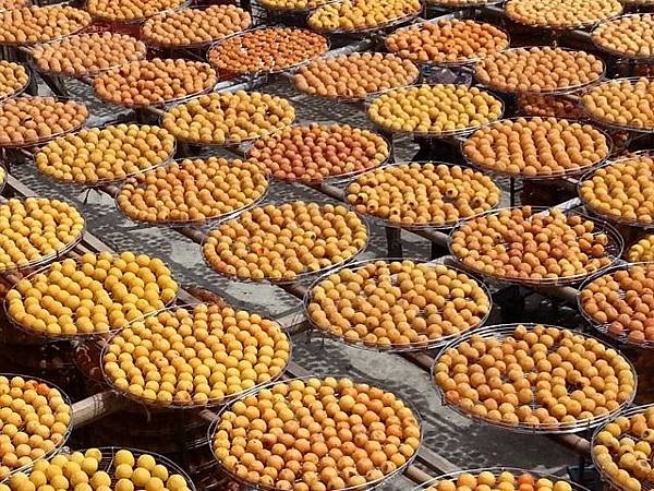 20130928_112758 (640x480).jpg 20130928_112758 (640x480).jpg