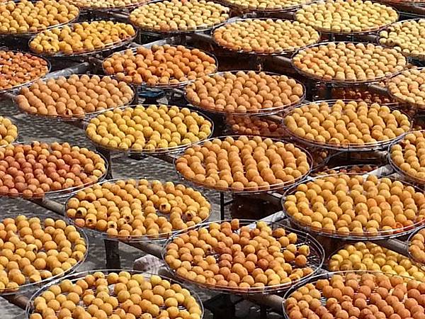 20130928_112807 (640x480).jpg 20130928_112807 (640x480).jpg