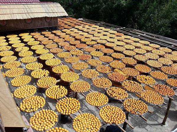 20130928_112956 (640x480).jpg 20130928_112956 (640x480).jpg