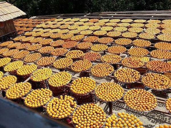 20130928_113052 (640x480).jpg 20130928_113052 (640x480).jpg