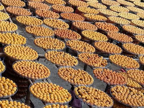 20130928_113156 (640x480).jpg 20130928_113156 (640x480).jpg