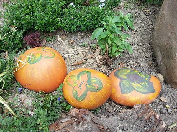 20130928_120456 (640x480).jpg 20130928_120456 (640x480).jpg