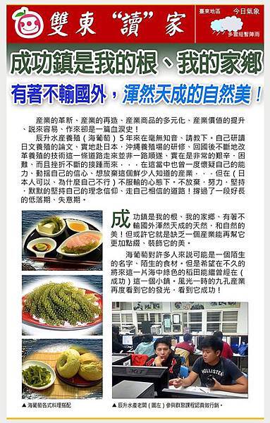 海葡萄報導 海葡萄報導