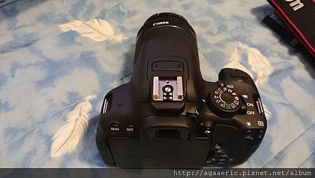 DSC_0185.JPG DSC_0185.JPG