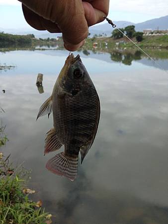 2015年1月5日一元復始萬象更新