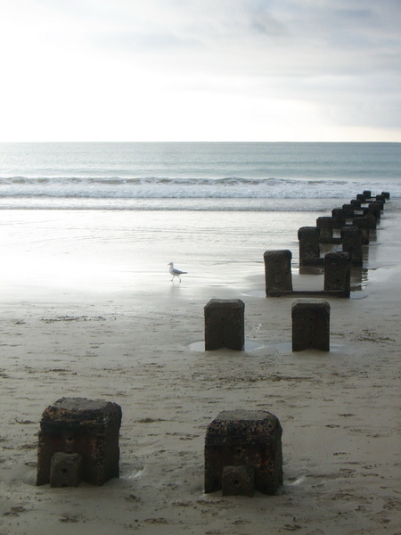 Apollo Bay 清晨 Apollo Bay 清晨