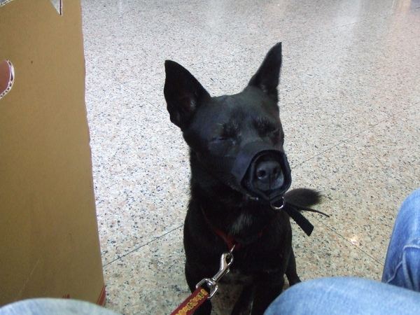 DSCF5410.JPG