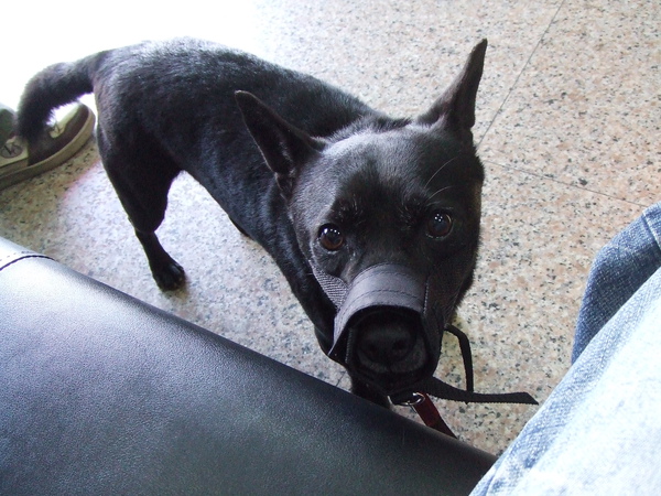 DSCF5424.JPG