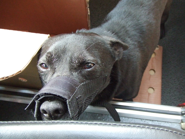 DSCF5438.JPG