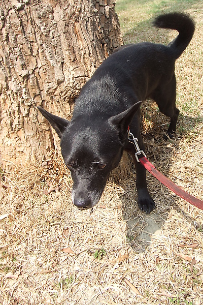 DSCF5517.JPG