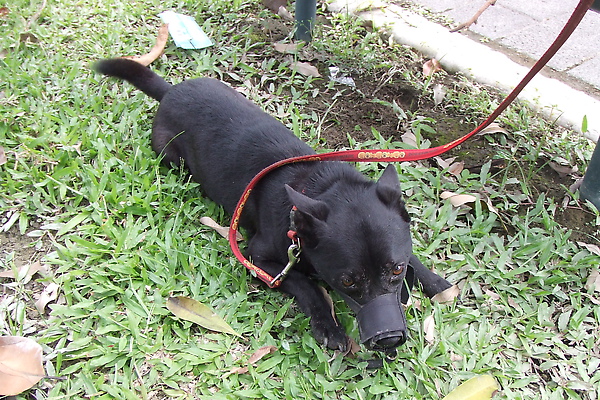 DSCF5527.JPG