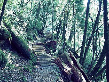 徹底被階梯打敗。