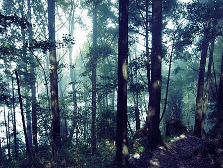 此行最喜歡的一段路