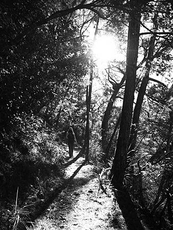 光影的變化很迷人。