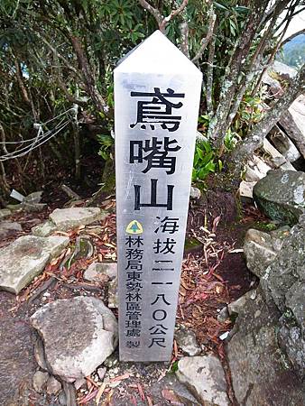 鳶嘴山，叮咚、叮咚！