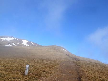1.6K，怎麼這麼美?