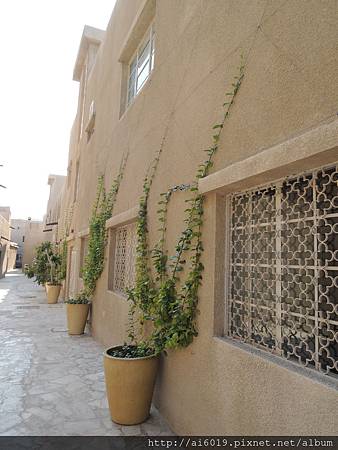 20140122 218.jpg 20140122 218.jpg