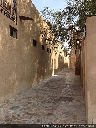 IMG_4083.jpg IMG_4083.jpg