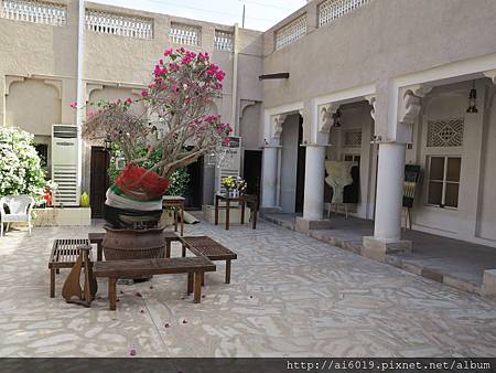 IMG_7894.JPG IMG_7894.JPG