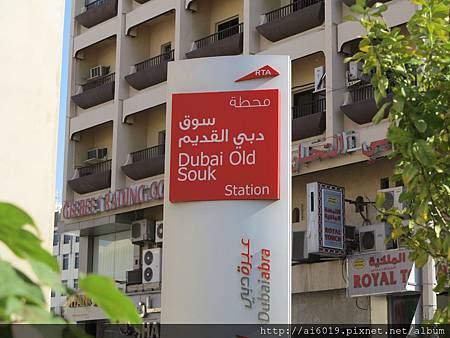 IMG_7981.JPG IMG_7981.JPG