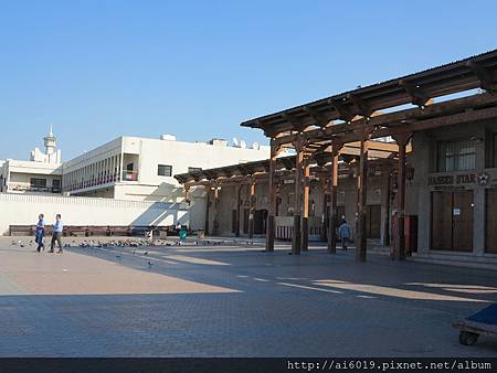 IMG_7984.JPG IMG_7984.JPG