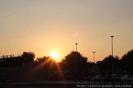 IMG_9940.JPG IMG_9940.JPG