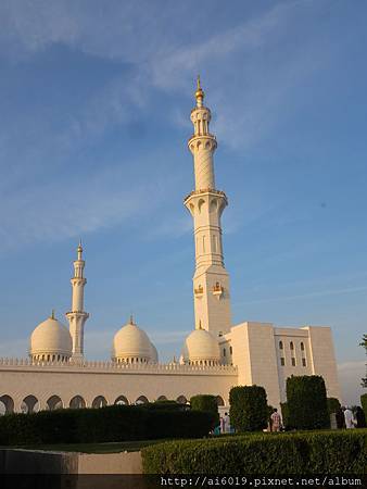 IMG_8247.jpg IMG_8247.jpg