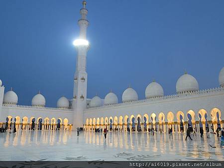 IMG_8324.JPG IMG_8324.JPG