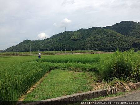 IMG_7508.JPG IMG_7508.JPG