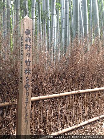 IMG_7550.JPG IMG_7550.JPG