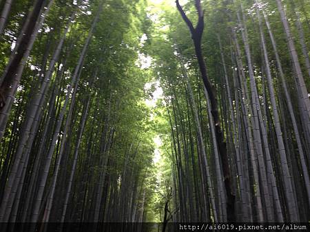 IMG_7551.JPG IMG_7551.JPG