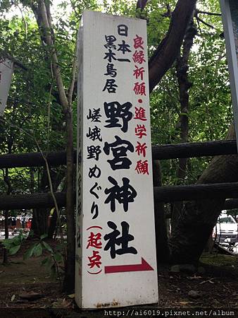 IMG_7557.JPG IMG_7557.JPG