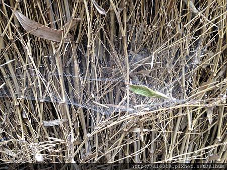 IMG_7562.JPG IMG_7562.JPG