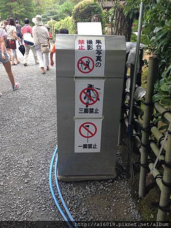 IMG_7599.JPG IMG_7599.JPG