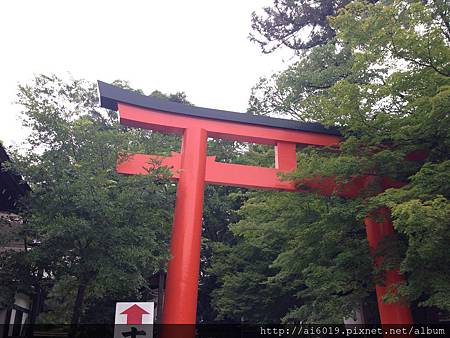 IMG_7651.JPG IMG_7651.JPG