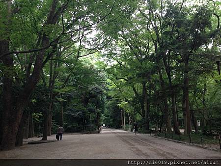 IMG_7654.JPG IMG_7654.JPG