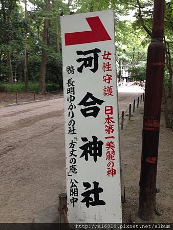 IMG_7655.JPG IMG_7655.JPG