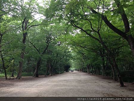 IMG_7658.JPG IMG_7658.JPG