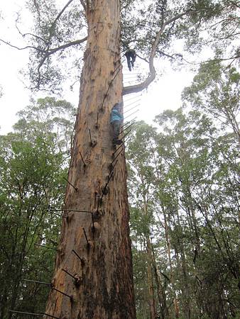 3-10.不是我在說姐姐真的是最不怕的那位!!