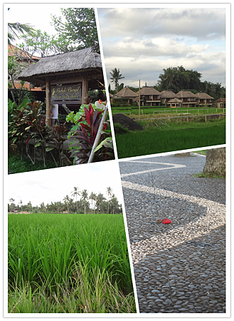UBUD4